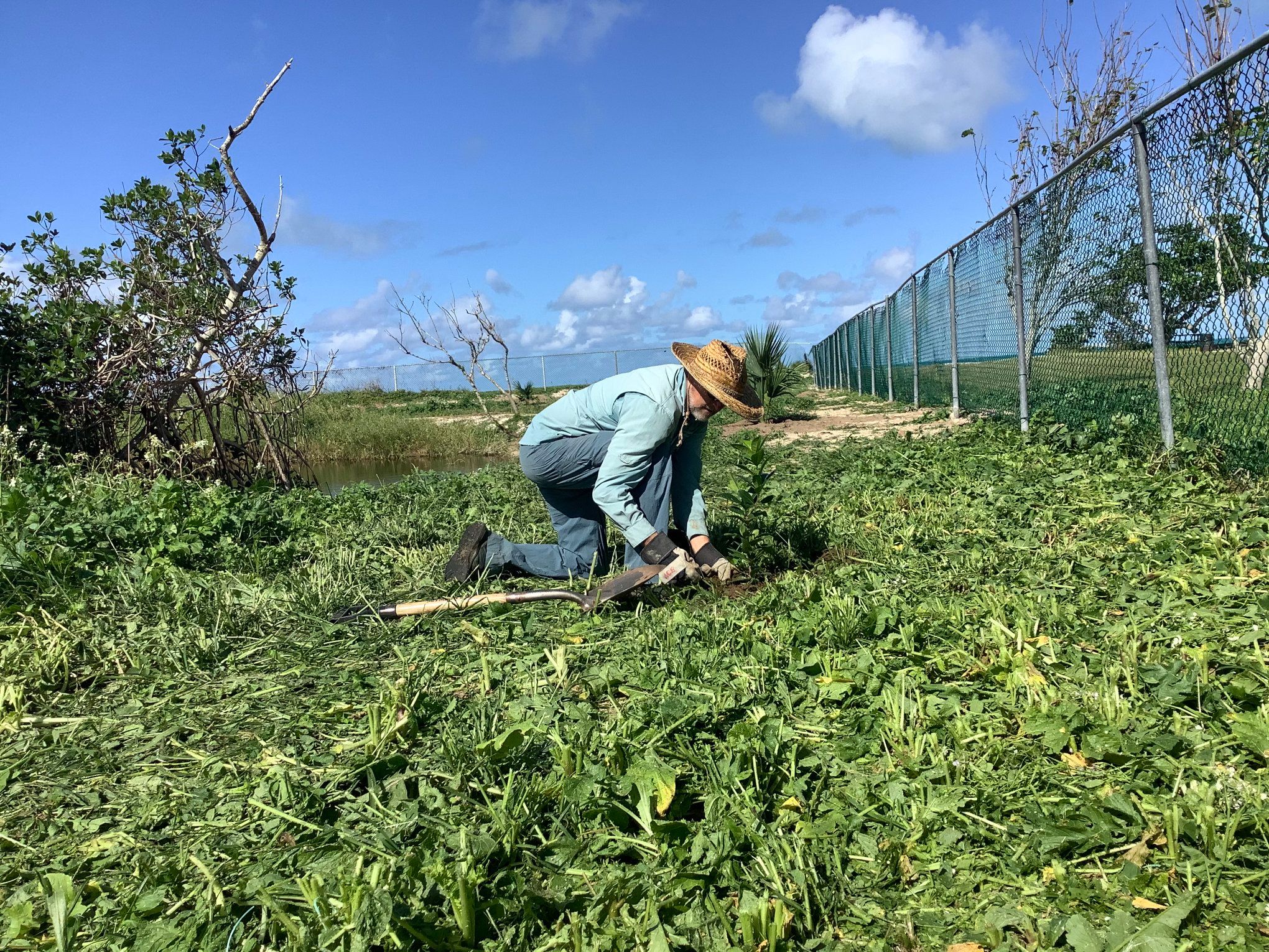 BAS members planting endemic trees at SLBW